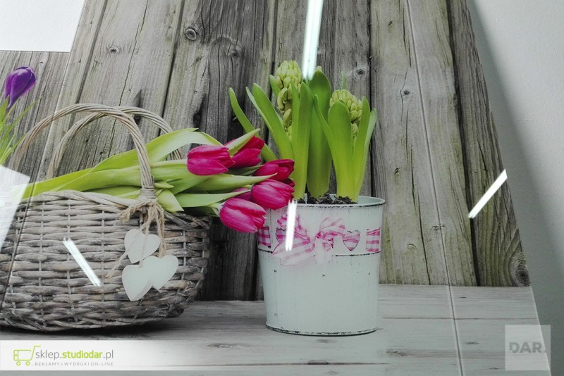 Druk UV na szkle do kuchni - tulipany